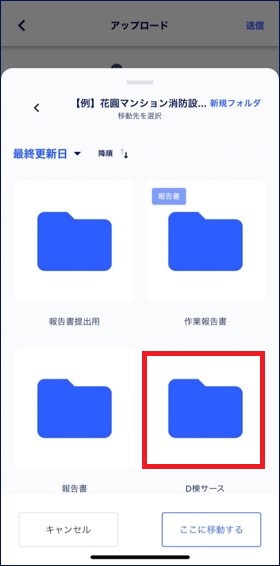 S__305061894.jpg