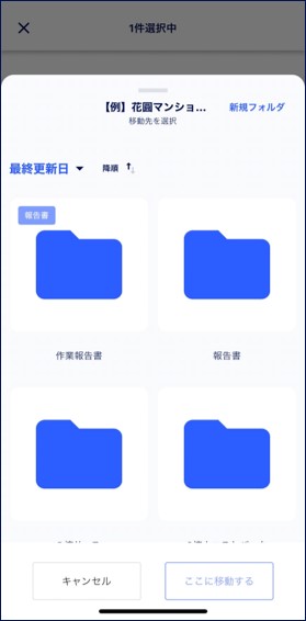 S__305176584.jpg